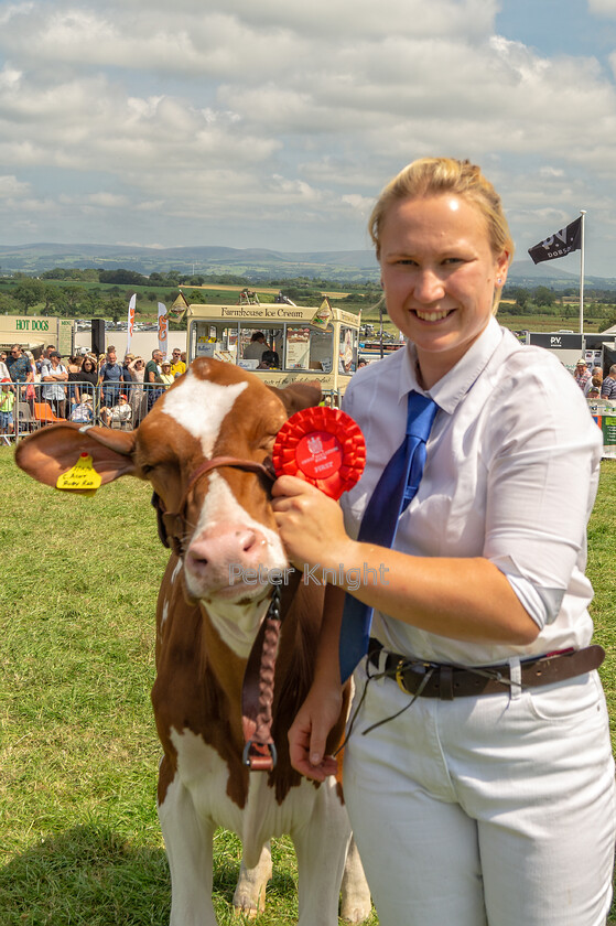 GE-Show22 160722 0605-copy 
 Keywords: Great Eccleston Show, Great Eccleston and District Agricultural Show, Great Eccleston, Agricultural Show, Great Eccleston Show 2022,Agricultural Show, Farming Exhibition, Livestock Showcase, Rural Event, Country Fair, Showground, Equestrian Events, Agricultural competitions, Farm Animals, Horticultural Displays, Food and Drink Stalls, Crafts and Local Produce, Entertainment and Attractions, Children's Activities, Dog Shows, Vintage Machinery, Vintage Tractors, Country Lifestyle, Tractor Pulling