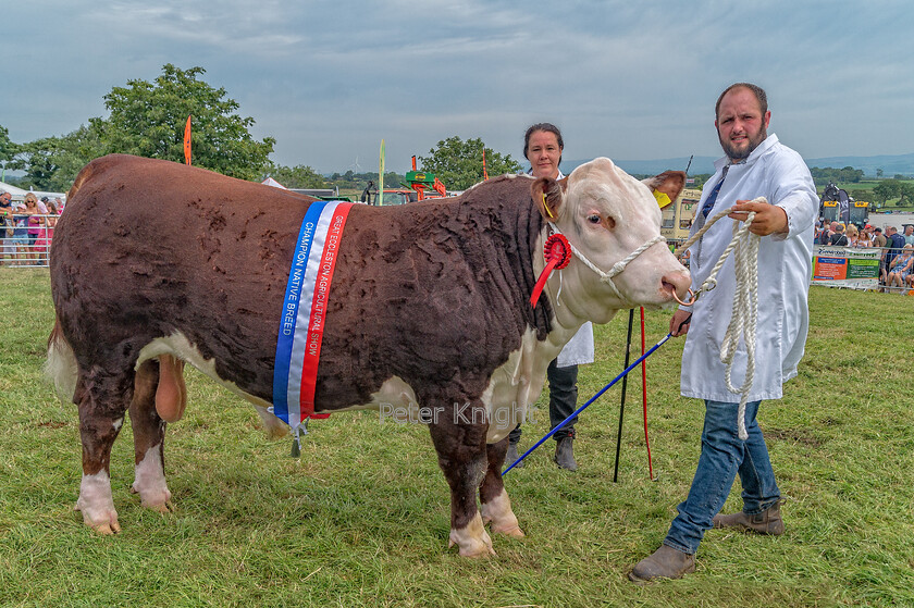 GE-Show22 170722 1326-copy 
 Keywords: Great Eccleston Show, Great Eccleston and District Agricultural Show, Great Eccleston, Agricultural Show, Great Eccleston Show 2022,Agricultural Show, Farming Exhibition, Livestock Showcase, Rural Event, Country Fair, Showground, Equestrian Events, Agricultural competitions, Farm Animals, Horticultural Displays, Food and Drink Stalls, Crafts and Local Produce, Entertainment and Attractions, Children's Activities, Dog Shows, Vintage Machinery, Vintage Tractors, Country Lifestyle, Tractor Pulling