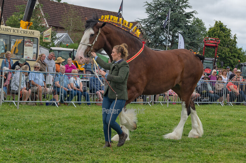 GE-Show22 160722 0304-copy 
 Keywords: Great Eccleston Show, Great Eccleston and District Agricultural Show, Great Eccleston, Agricultural Show, Great Eccleston Show 2022,Agricultural Show, Farming Exhibition, Livestock Showcase, Rural Event, Country Fair, Showground, Equestrian Events, Agricultural competitions, Farm Animals, Horticultural Displays, Food and Drink Stalls, Crafts and Local Produce, Entertainment and Attractions, Children's Activities, Dog Shows, Vintage Machinery, Vintage Tractors, Country Lifestyle, Tractor Pulling