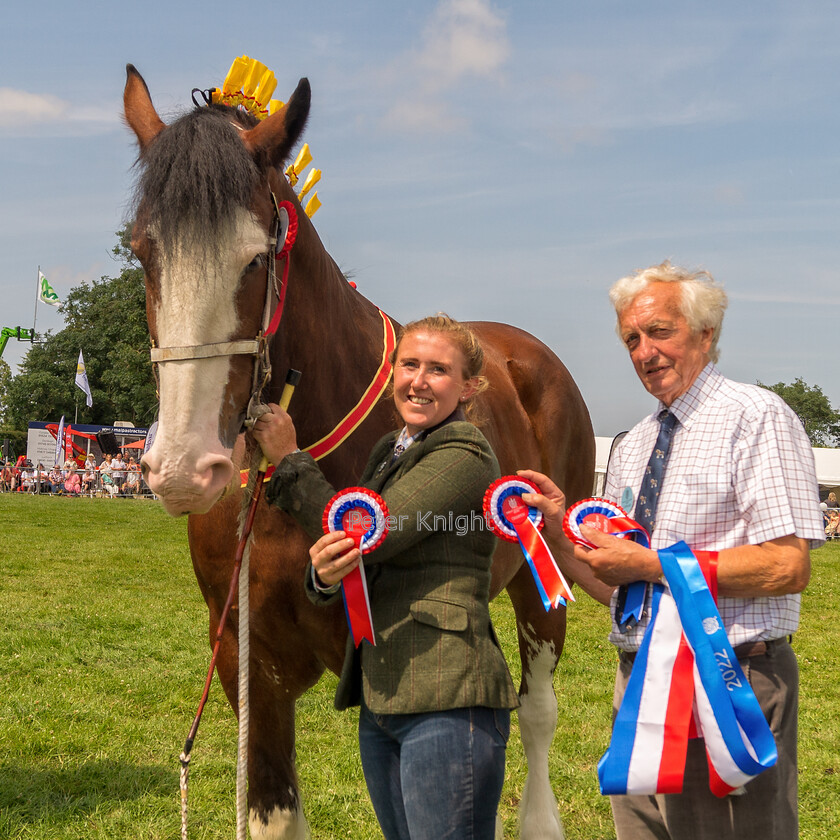 GE-Show22 160722 0617-copy 
 Keywords: Great Eccleston Show, Great Eccleston and District Agricultural Show, Great Eccleston, Agricultural Show, Great Eccleston Show 2022,Agricultural Show, Farming Exhibition, Livestock Showcase, Rural Event, Country Fair, Showground, Equestrian Events, Agricultural competitions, Farm Animals, Horticultural Displays, Food and Drink Stalls, Crafts and Local Produce, Entertainment and Attractions, Children's Activities, Dog Shows, Vintage Machinery, Vintage Tractors, Country Lifestyle, Tractor Pulling