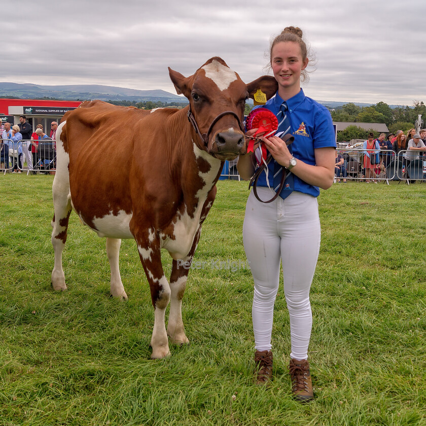 GE-Show22 160722 0209-copy-2C 
 Keywords: Great Eccleston Show, Great Eccleston and District Agricultural Show, Great Eccleston, Agricultural Show, Great Eccleston Show 2022,Agricultural Show, Farming Exhibition, Livestock Showcase, Rural Event, Country Fair, Showground, Equestrian Events, Agricultural competitions, Farm Animals, Horticultural Displays, Food and Drink Stalls, Crafts and Local Produce, Entertainment and Attractions, Children's Activities, Dog Shows, Vintage Machinery, Vintage Tractors, Country Lifestyle, Tractor Pulling