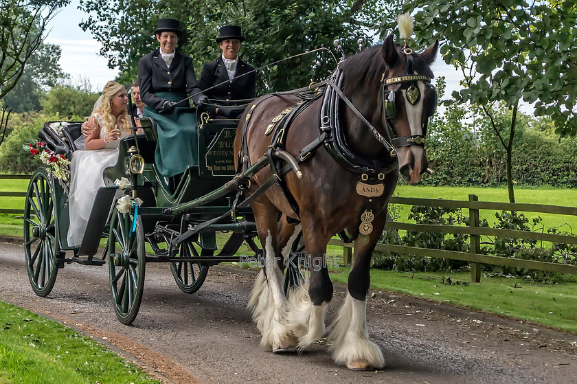 Hayley-and-Peter-Wedding06082016 0099D 
 Hayley and Peter's Wedding 
 Keywords: Hayley and Peter Wedding