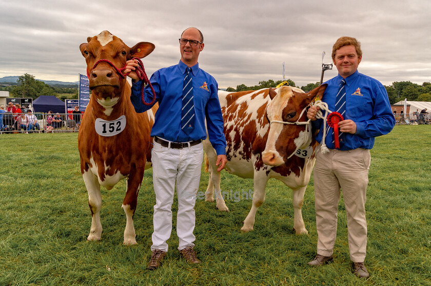 GE-Show22 160722 0161-copy 
 Keywords: Great Eccleston Show, Great Eccleston and District Agricultural Show, Great Eccleston, Agricultural Show, Great Eccleston Show 2022,Agricultural Show, Farming Exhibition, Livestock Showcase, Rural Event, Country Fair, Showground, Equestrian Events, Agricultural competitions, Farm Animals, Horticultural Displays, Food and Drink Stalls, Crafts and Local Produce, Entertainment and Attractions, Children's Activities, Dog Shows, Vintage Machinery, Vintage Tractors, Country Lifestyle, Tractor Pulling